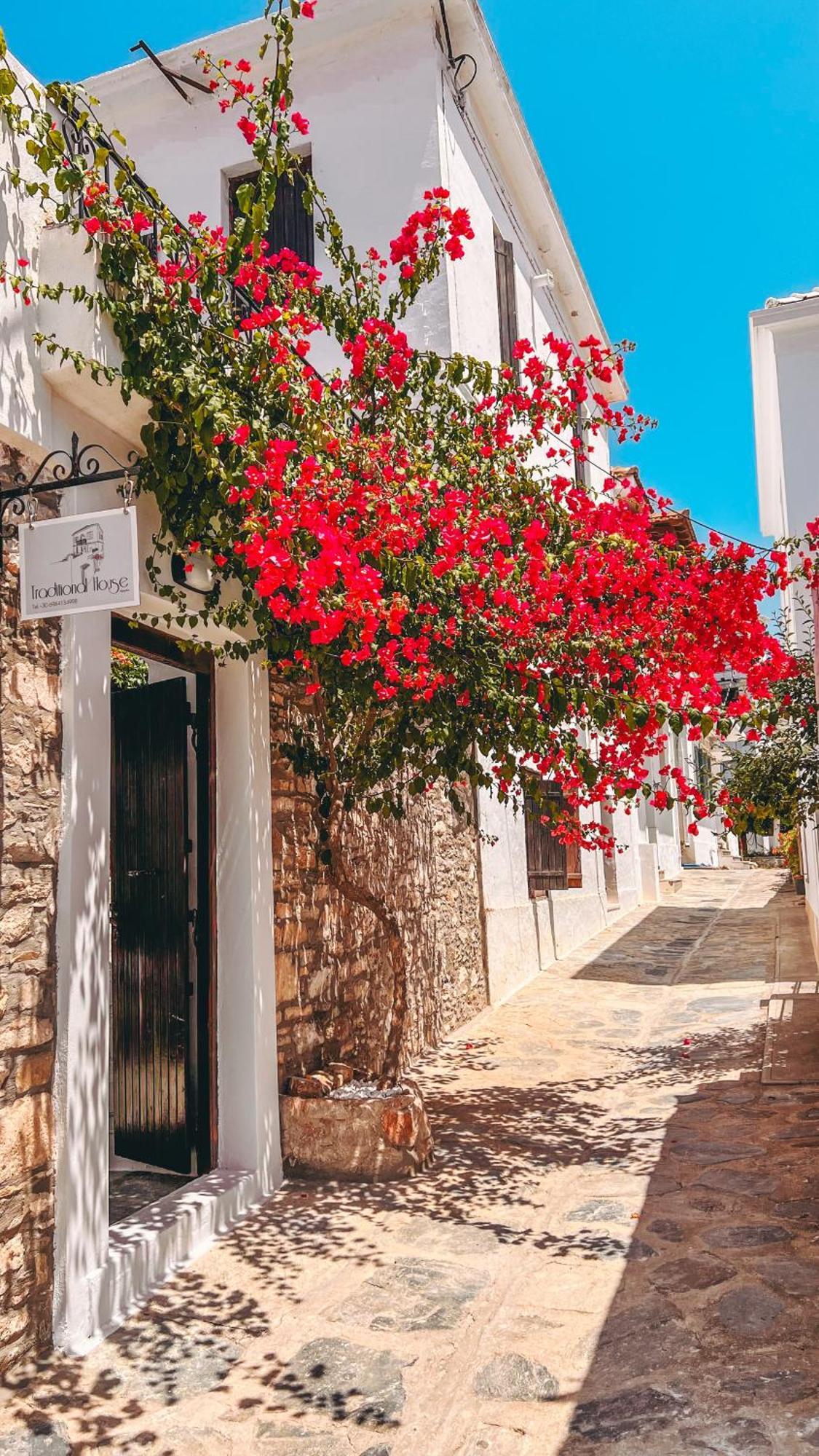 Traditional House Skopelos Buitenkant foto